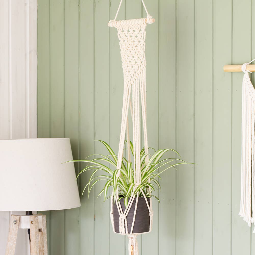 The Little Botanical - Wholesale Plant Pot - Natural Macrame Plant Hanger5