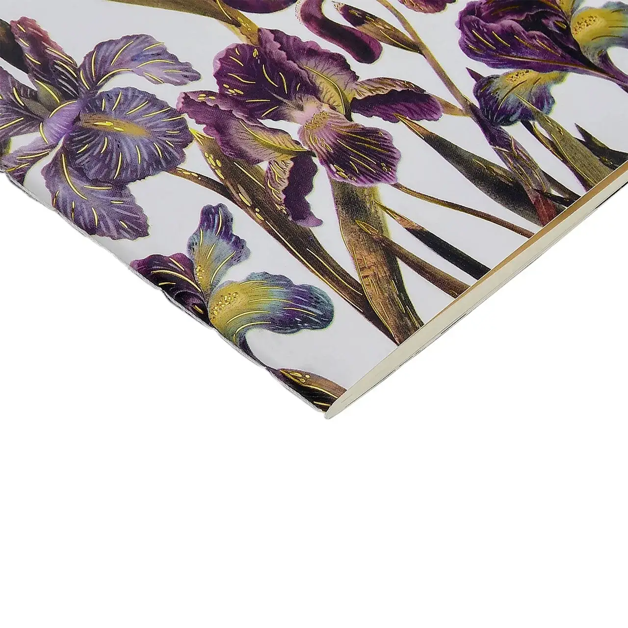 BV by Bruno Visconti - Wholesale Notebook - A6 Passport Notebook  - Irises 4