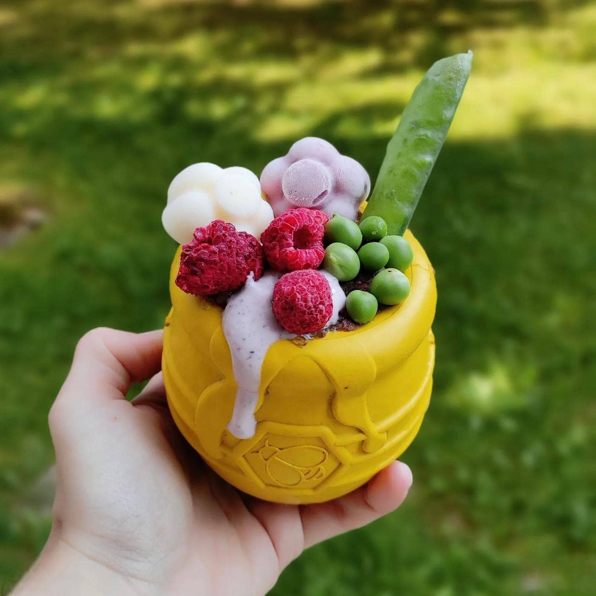 SodaPup Dog Toys - Wholesale Pet Treat Jar - Dog - PUP-X Honey Pot Treat Dispenser4