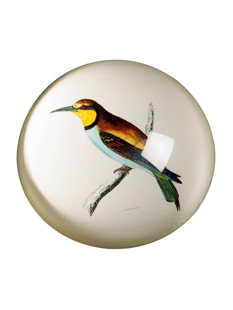 Chehoma USA - Wholesale Paper Weight - Presse papier Trinidad1