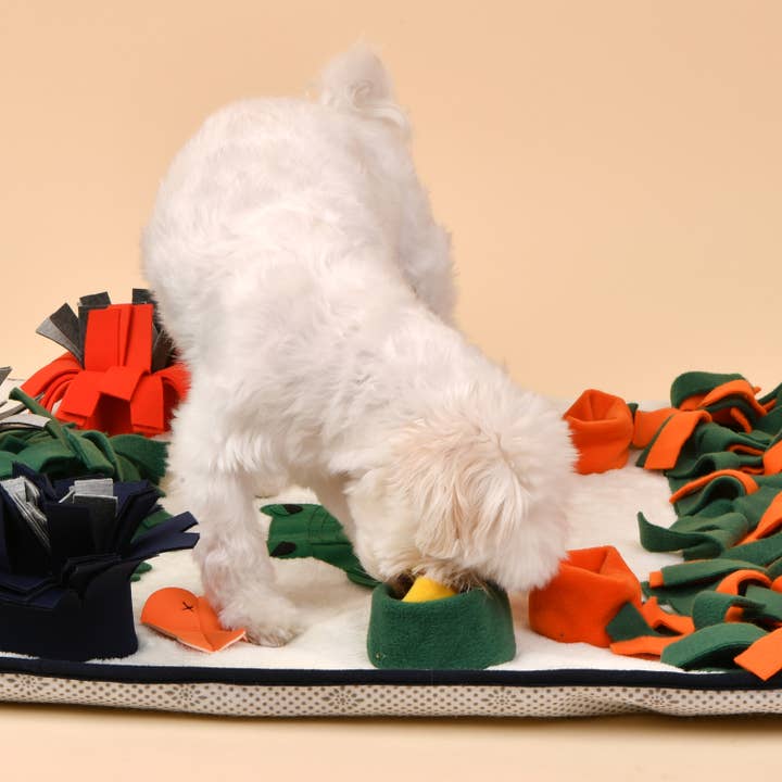 CRÈME/VERT JOUET POUR CHIEN SWAMPY NOSEWORK POUR L'EXERCICE, L'ENTRAÎNEMENT ET L'ENNUI en vente sur Faire3