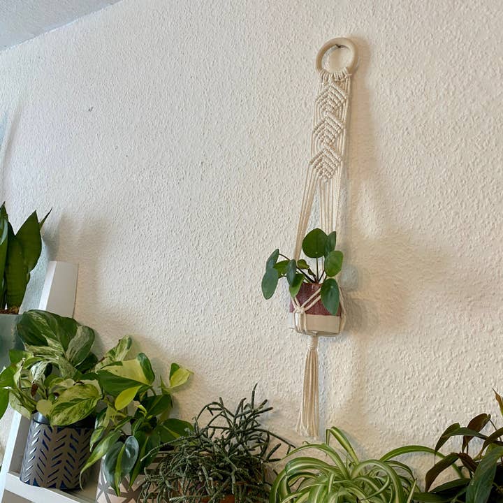 Luna Crafts - Vendita all'ingrosso Fioriere a sospensione - Appendiabiti da parete in macramè - seashell bianco