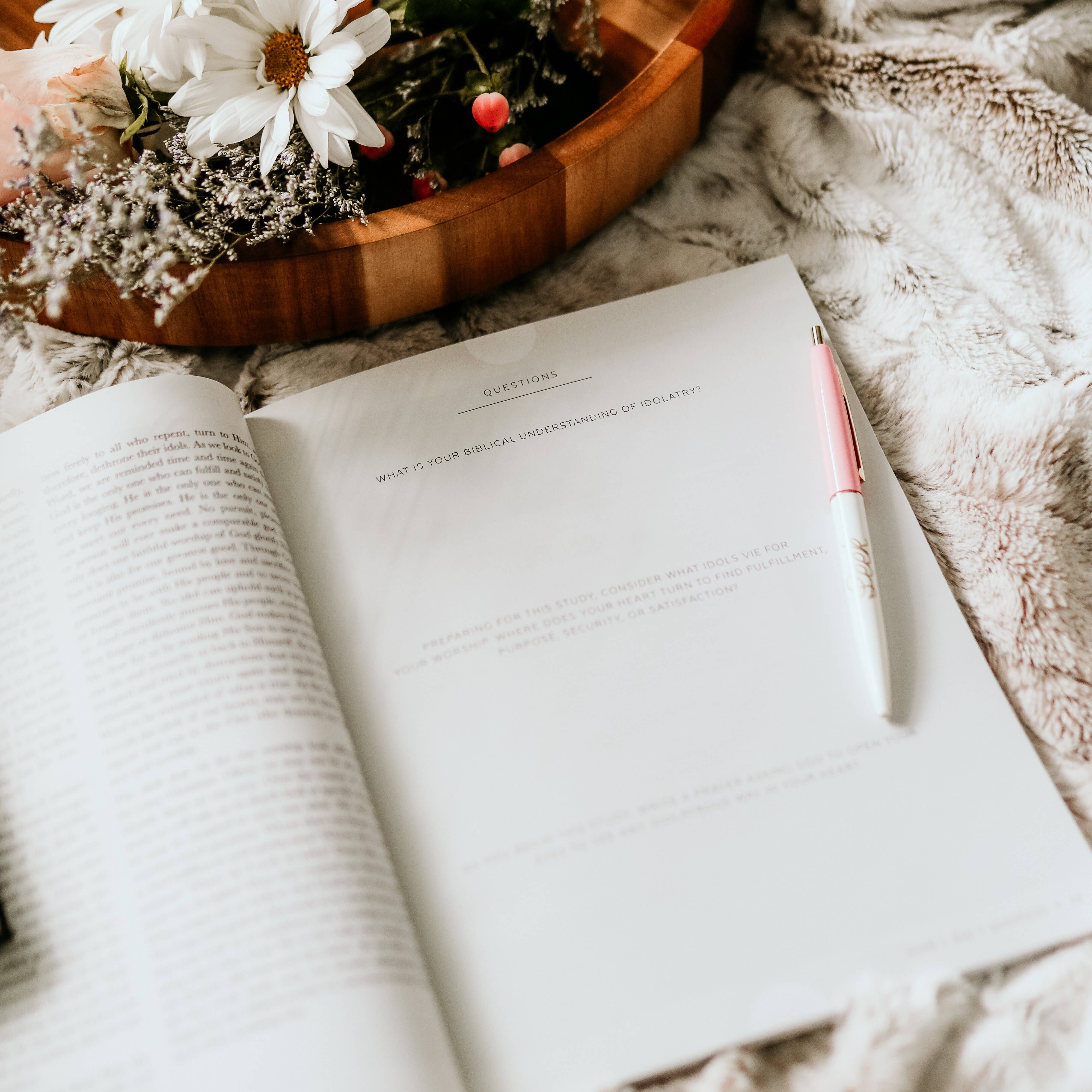 The Daily Grace Co - Wholesale Religion - More Than Anything | Idolatry Study5