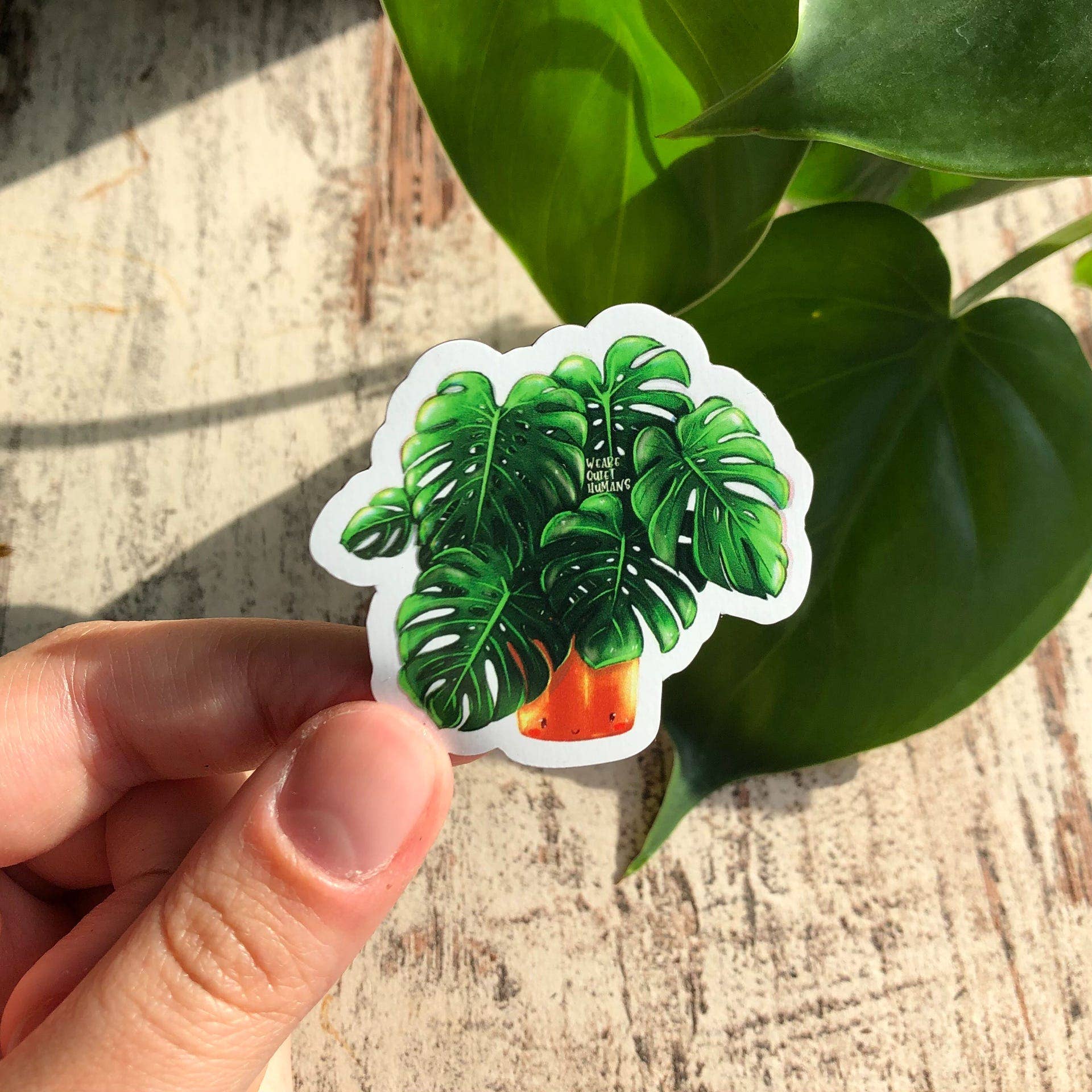 plantyintroverts - Wholesale Magnet - Magnet - Monstera Deliciosa, Plantlover, Plants, Plantlady7
