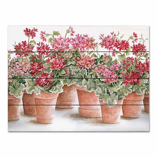 CIN2889PAL - Mélange de géranium en pot I - 16x12 pour la vente par Penny Lane Fine Art