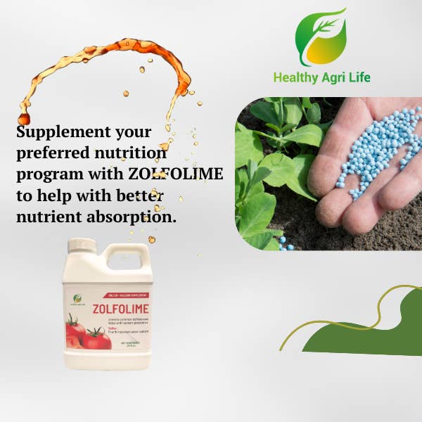 Healthy Paw Life - Venta al por mayor Fertilizantes - Líquido nutritivo sulfuroso para césped y plantas de Zolfolime, aflojador y acondicionador del suelo, ideal para suelos compactos, aguas estancadas y mal drenaje