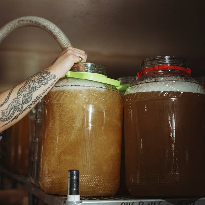 Momo Kombucha – wholesale Kombucha – Organic Mixed Case Kombucha (12 x 330ml bottles)4