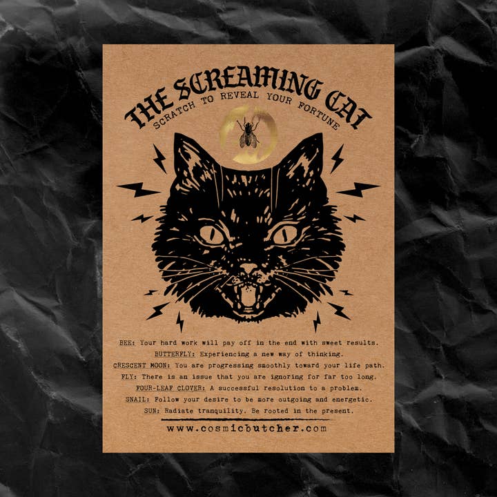 Cosmic Butcher - Wholesale Everyday Greeting Card - “SCREAMING CAT” Scratch Off Fortune Affirmation Novelty Card3