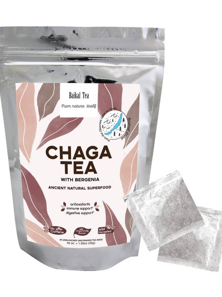 Chaga te med Bergenia för wholesale av Baikal Tea