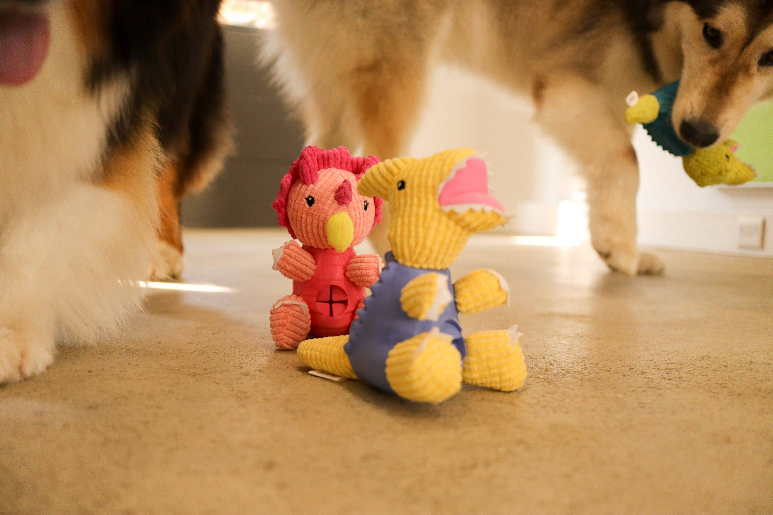 DASHI - Wholesale Pet Plush Toy - Dog - Dashi Dino Toy Parry3