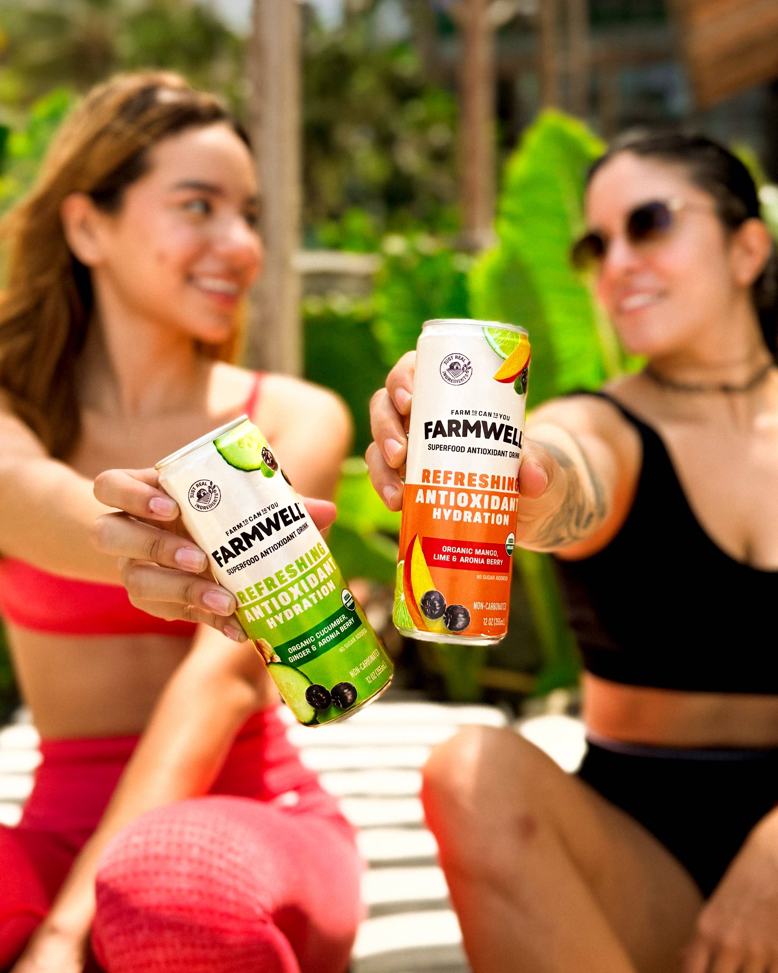 Farmwell Drinks - Wholesale Flavored/Infused Water (Non-Carbonated) - Organic Cucumber, Ginger & Aronia  - 12 Pack2