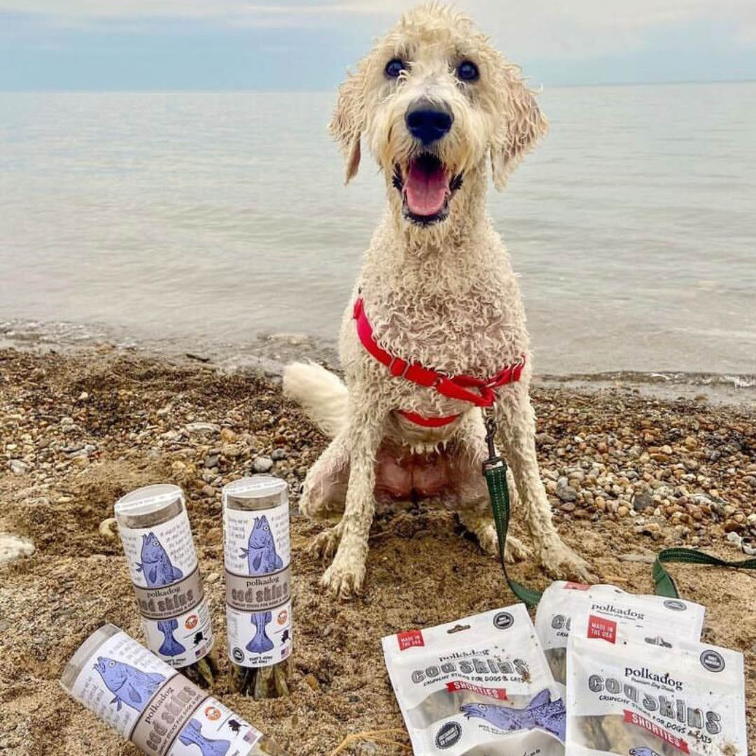 Polkadog - Wholesale Pet Treats - Dog - Cod Skins - 2.5oz Tube - Dog Treats3