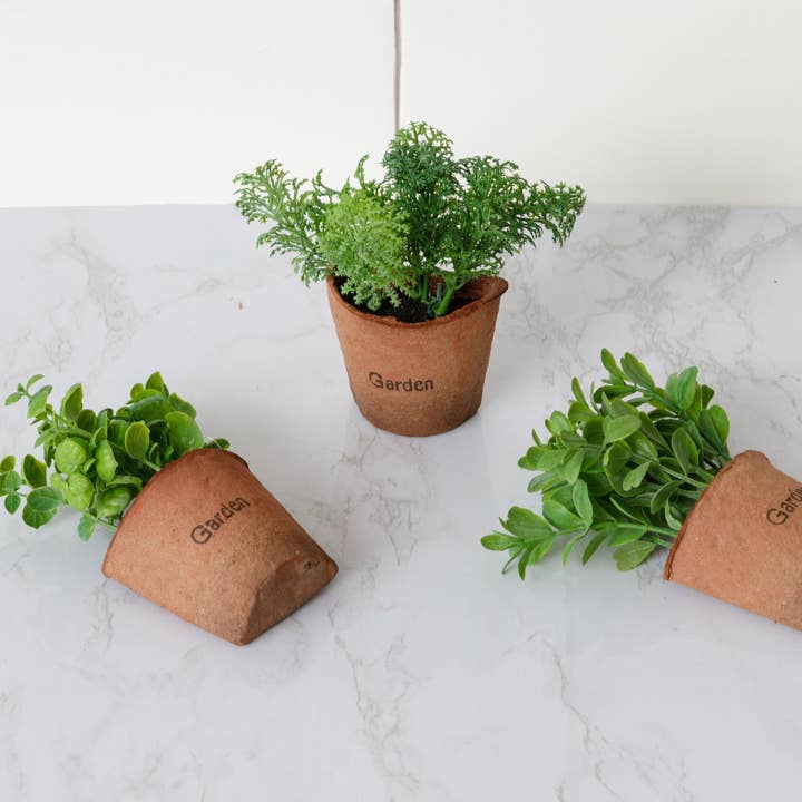 Window Sill Plants, Asstd Herbs (Pk/03 Ast) for wholesale by Audrey's Home & Gift