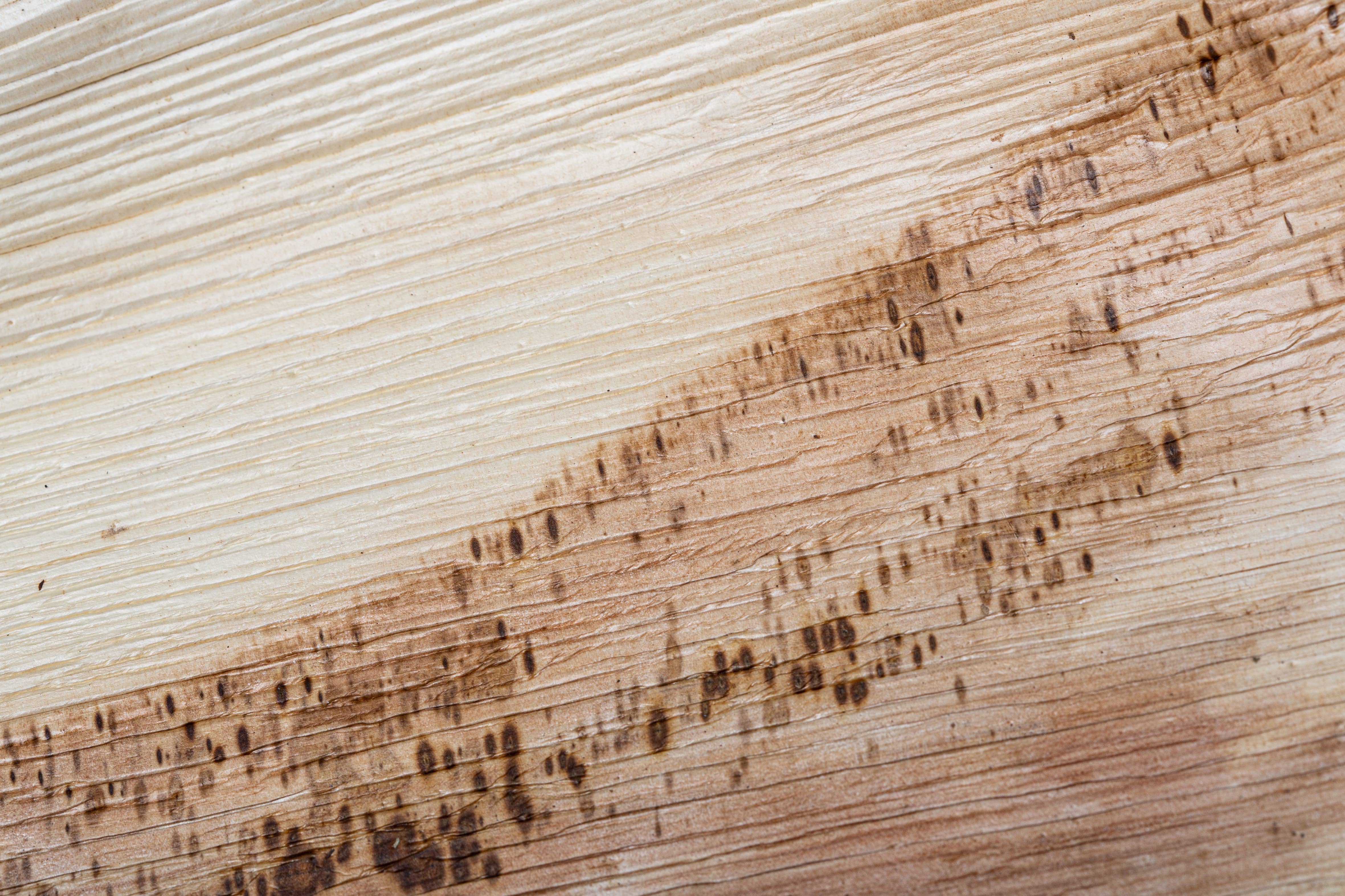 GNB S.r.l. (BioChic) - Wholesale Bowl - Compostable disposable palm leaf bowl diameter 13cm5