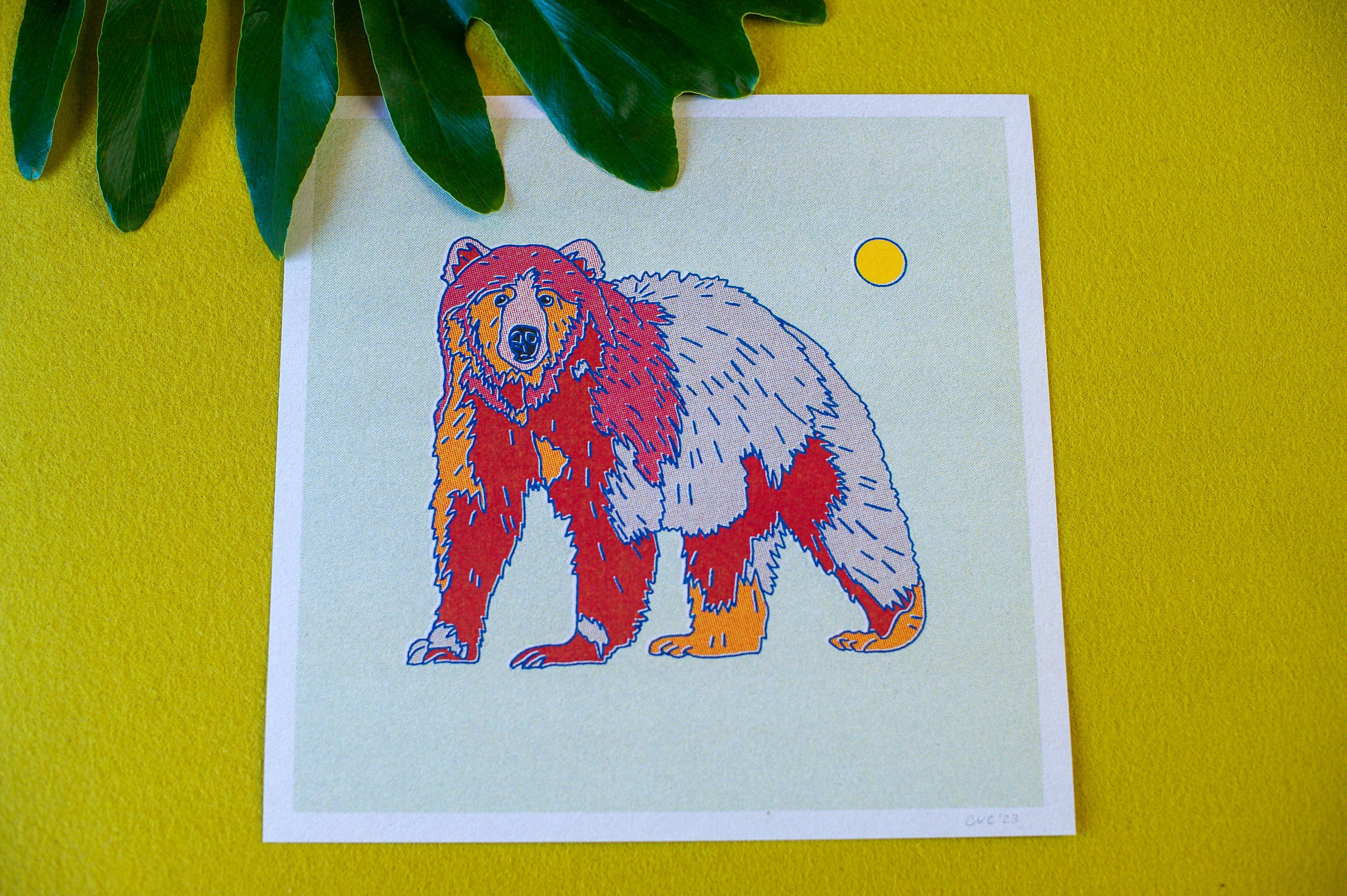 Caroline Clark - Wholesale Art Print - Bear Art Print3