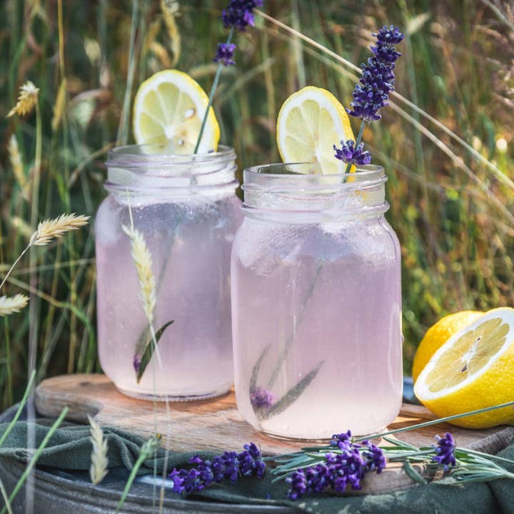 Lavender Lemonade Single Serve Craft Cocktail for wholesale by Noble Mick's - Craft Beverage Company