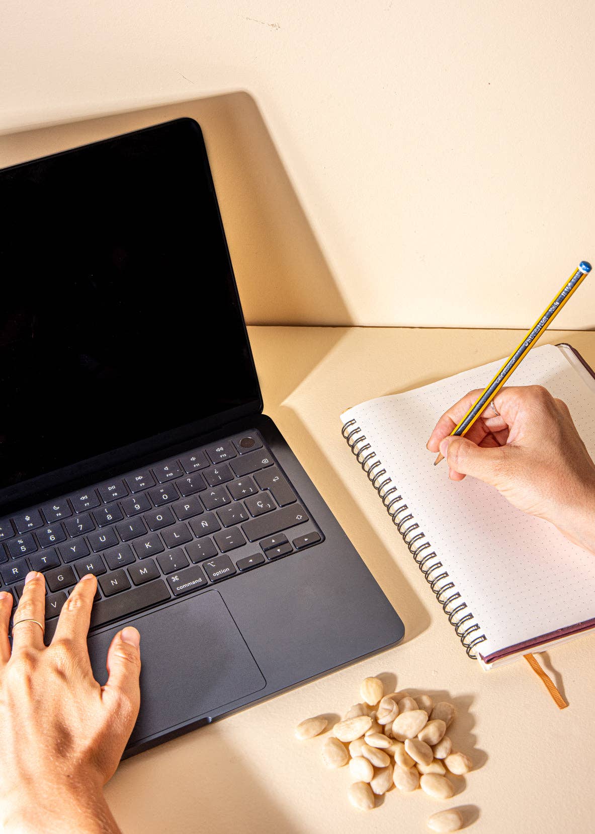 AZADA – wholesale Nuts – Almendras crudas2