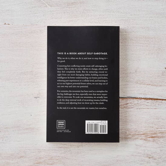 Thought Catalog - Wholesale Self-Help & Personal Development - The Mountain Is You - book2