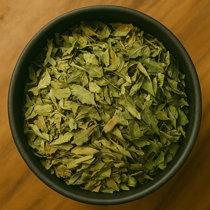 Feuille entière de chanvre indien (Apocynum Venetum) pour la vente par LA Herb