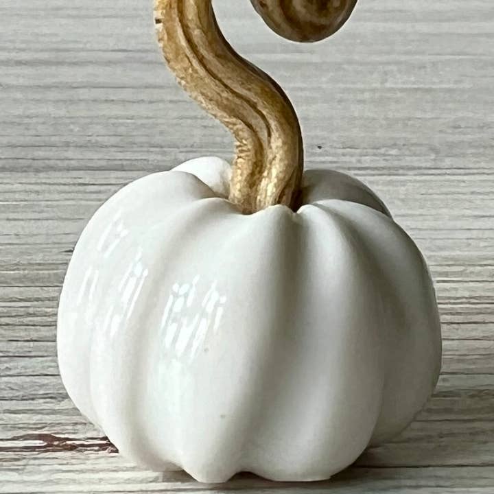 Mother Potter - Wholesale Decorative Tabletop Object - Mini ceramic pumpkins