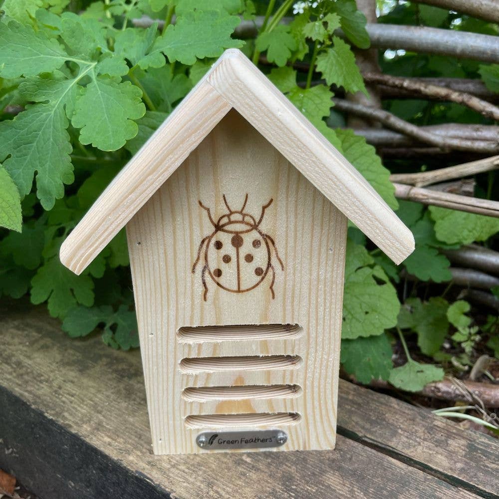 Green Feathers – wholesale Bird house – Ladybird House1
