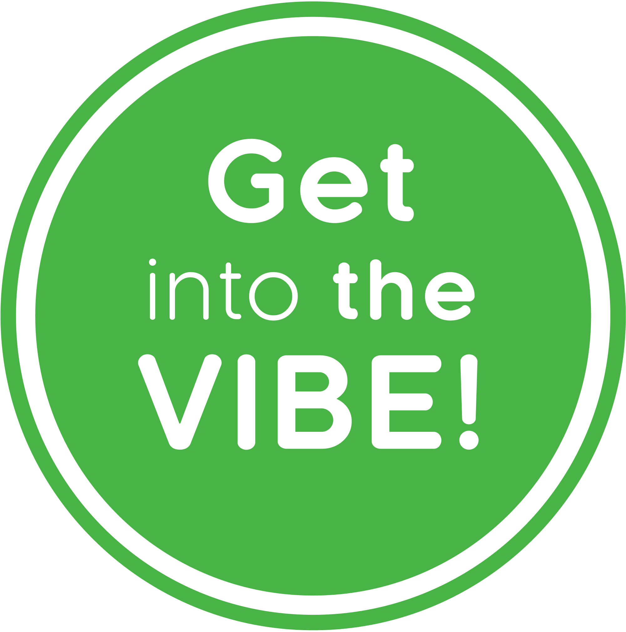 Vibe Foods - Wholesale Chips - Vibe Himalayan salt & Chickpea miso Kale Chips4