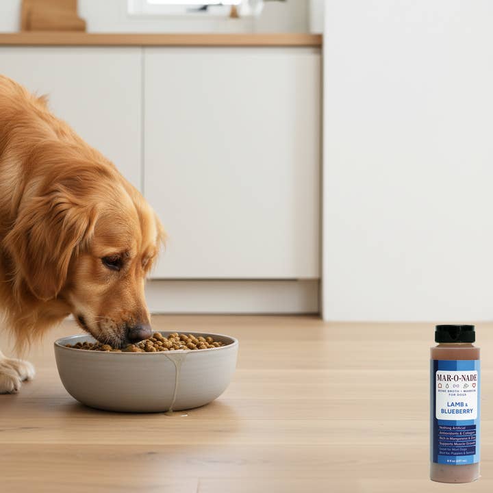 Mar-O-Nade - Wholesale Pet Food - Dog - Lamb & Blueberry Bone Broth + Marrow for Dogs3