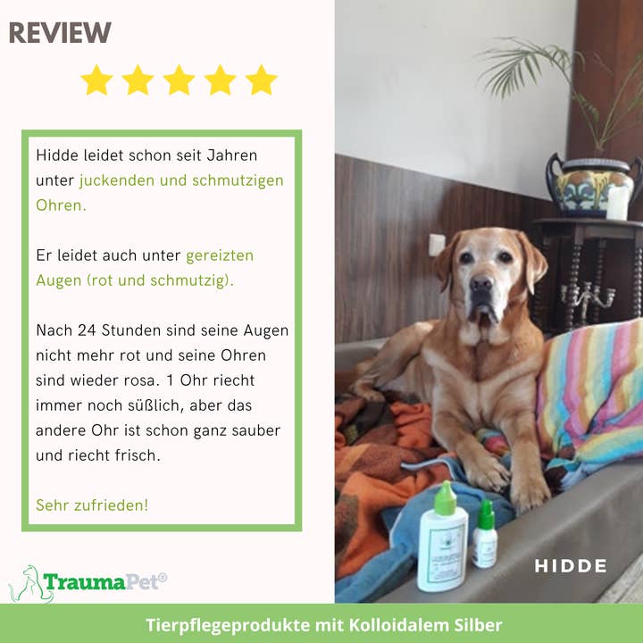 TraumaPet Deutschland - Wholesale Pet Supplement - Cat/Dog - Colloidal silver eye drops for animals3