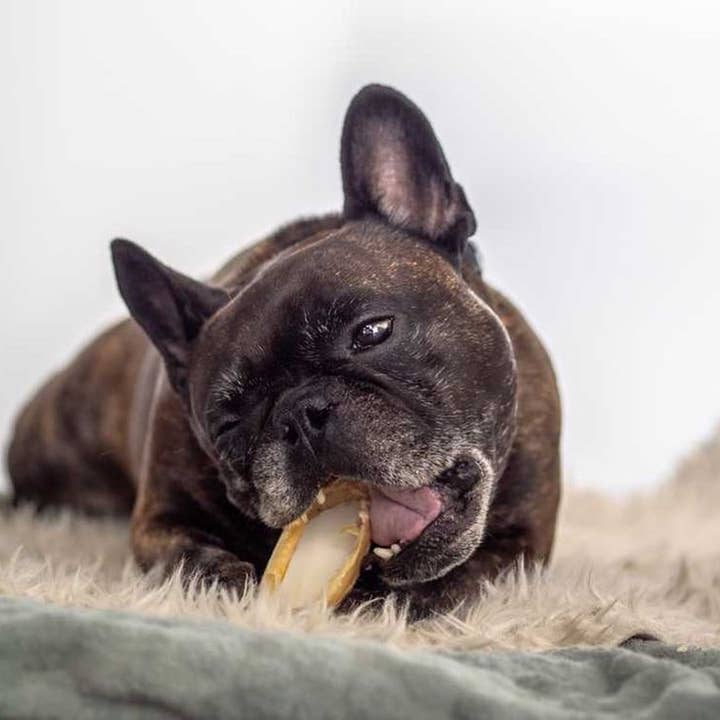 Kivo Petfood - Wholesale Pet Treats - Dog - Dog snack - Veal hooves with Sheep Fat - 3 pieces3