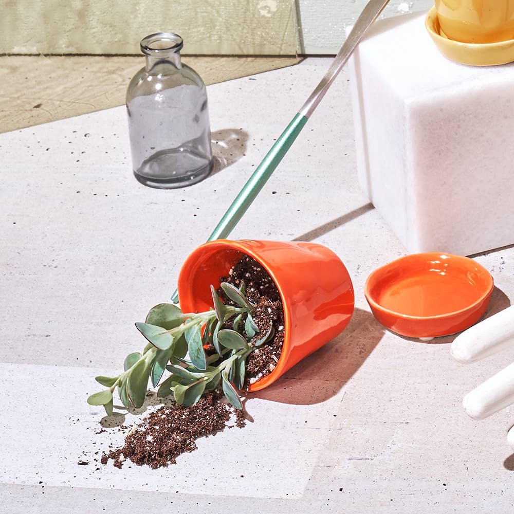 Chive - Wholesale Plant Pot - Tika Ceramic Pots With Saucer And Drainage Hole - 3"39