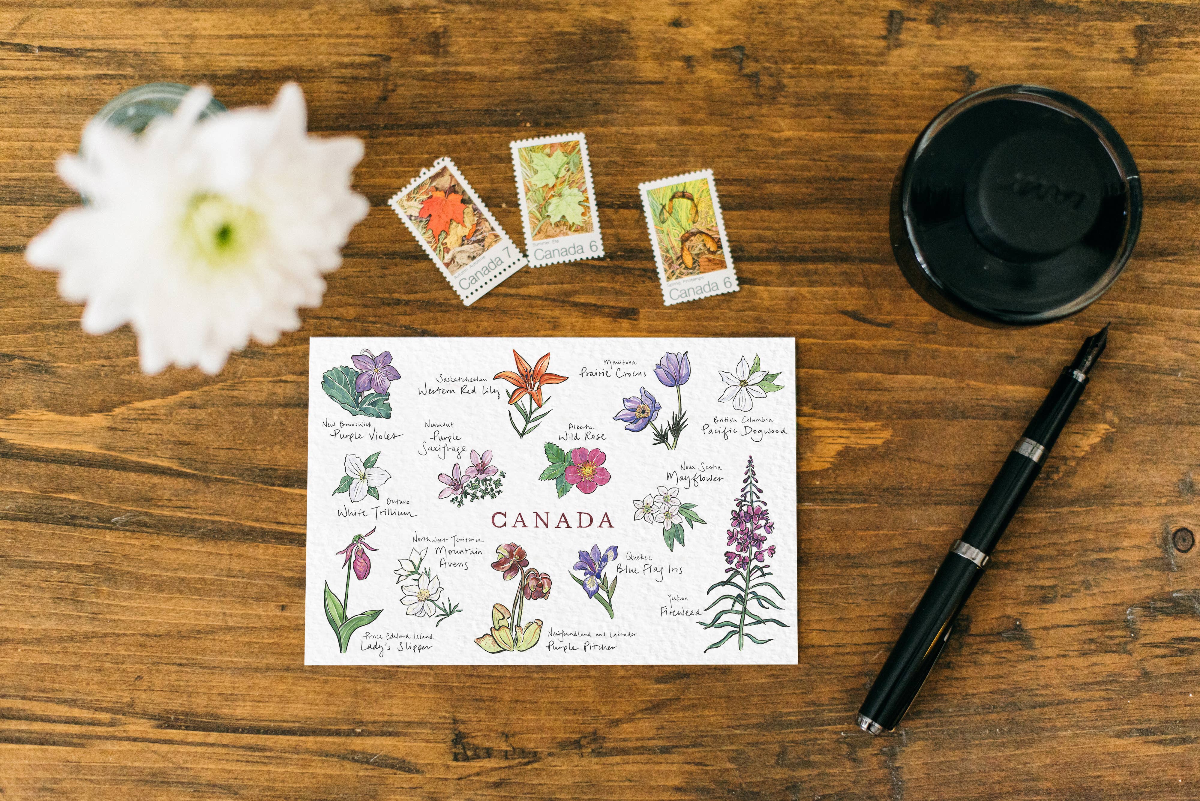 Gotamago - Wholesale Postcard - Canadian Floral Emblems Postcard3