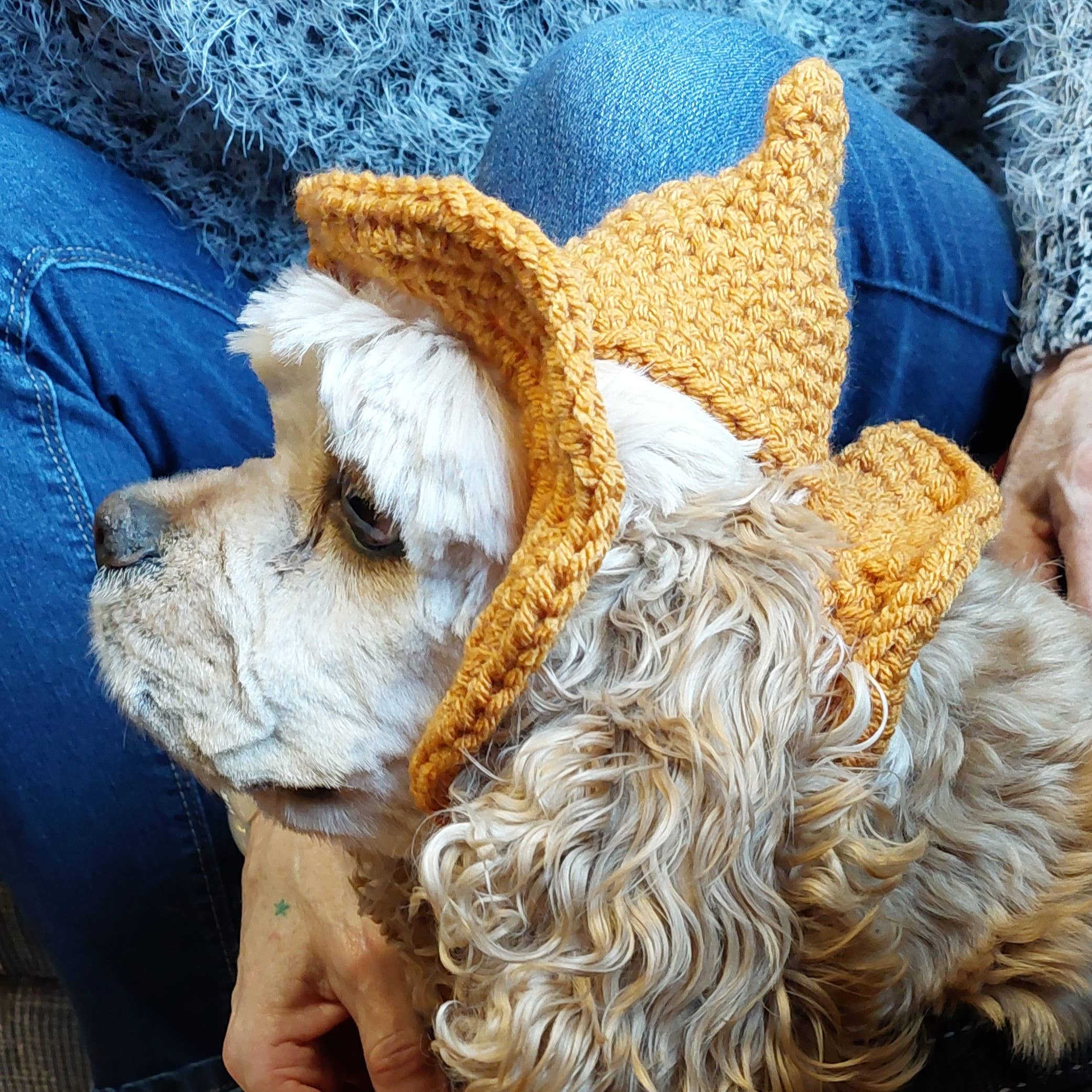 Glitter Ghost Clothing and Accessories – chapéu - Cão por atacado – Chapéu Crochet Brilha - Chapéu de Gato - Chapéu de Pet6