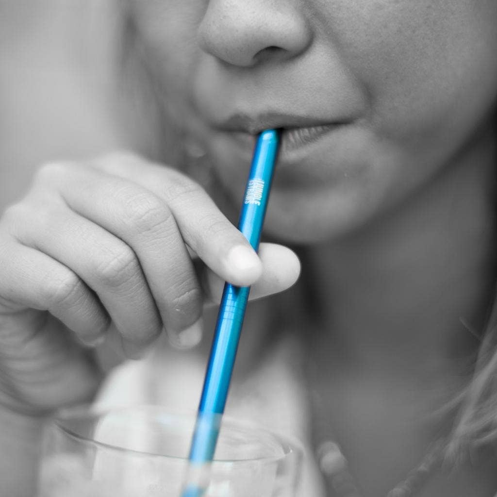 Jungle Culture - Wholesale Drinking Straw - Stainless Steel Straws, Metal Drinking Straws (Singular)1