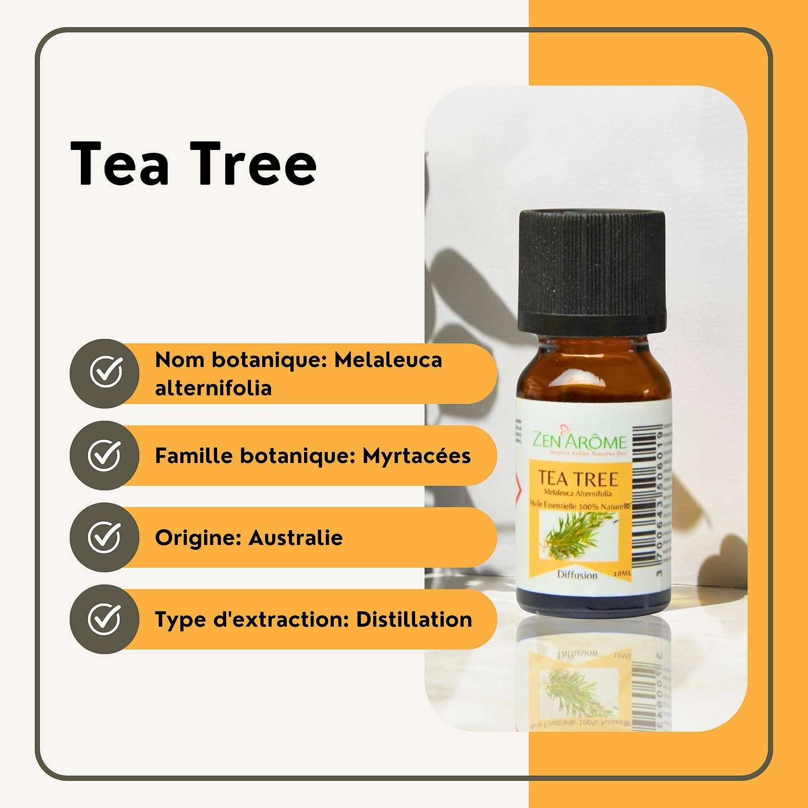 Zen'Arôme – Großhandel Ätherisches Öl – Teebaum-Ätherisches Öl – 100 % natürlich – 10 ml5