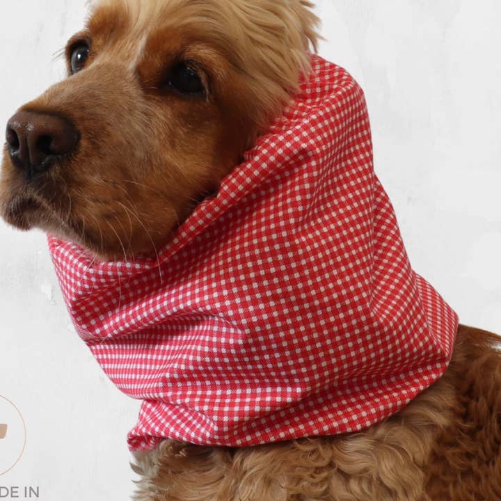 Snood pour chien en coton doux | Usage quotidien | Pique-nique à la fraise pour la vente par Distinguish Me