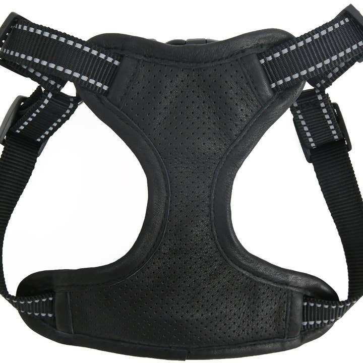 Boss Läder Hundsele – Hållbar, Stilren & Säker för wholesale av USA Leather Shop