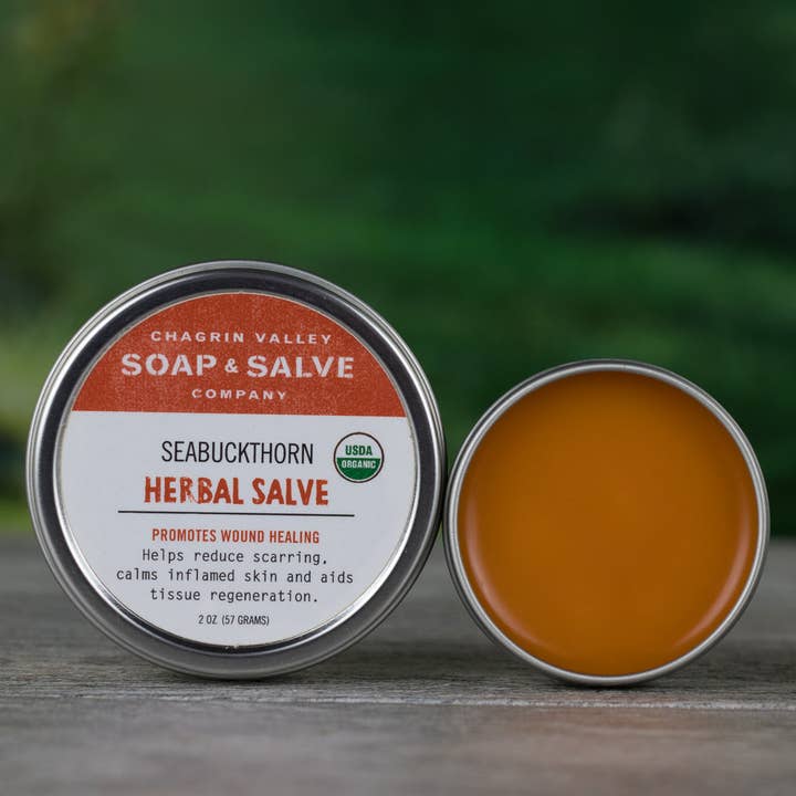 Chagrin Valley Soap - Wholesale Healing Salve/Balm/Cream - Salve: Sea Buckthorn
