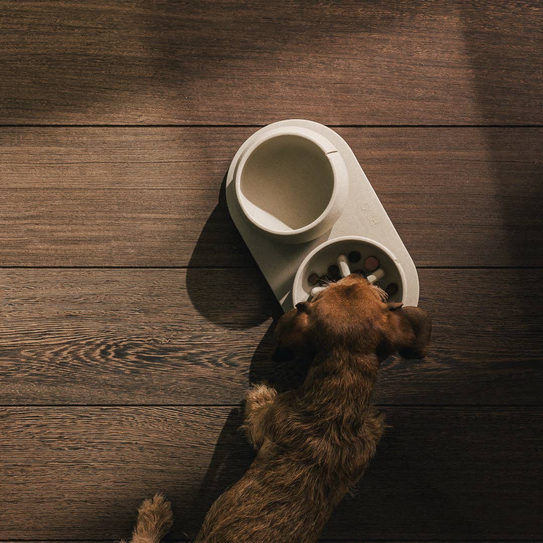 PINO - Wholesale Drinkbak - Kat/Hond - Trays voor honden17