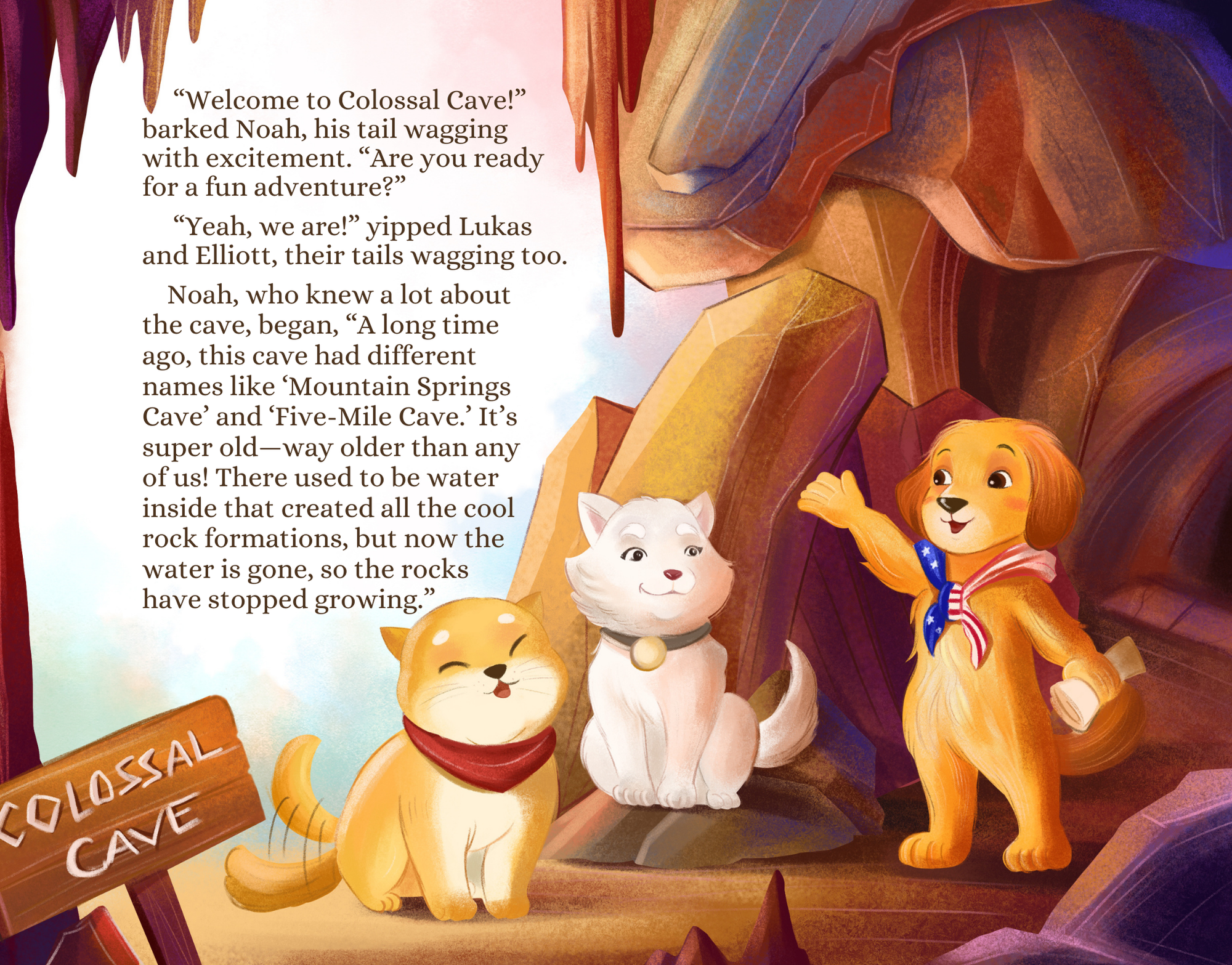 Miso and Kili's Treasure Shop - Wholesale Early Reader Book (6-8) - A Southern Arizona Cave Adventure Hardcover4