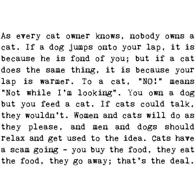 Coulson Macleod (U.S. Duties Paid) - Wholesale Everyday Greeting Card - Cat Lover Card1