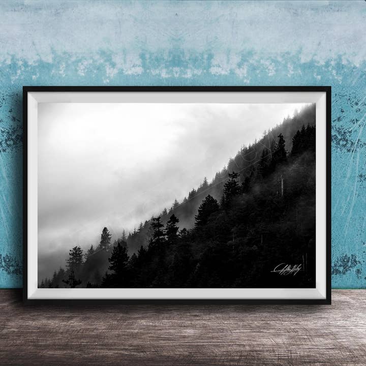 Art mural de forêt - Pins brumeux - Cottagecore pour la vente par Clifton Haley Photography