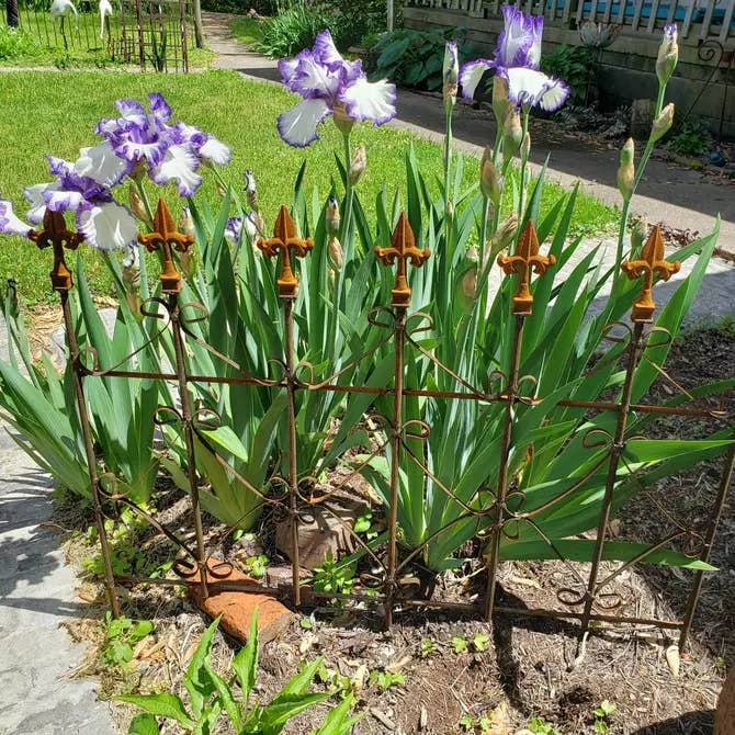 Garden Iron And More - Wholesale Outdoor Ornament/Decor - X'S Diamond Border Fence with Finials Rustic Vintage Style2