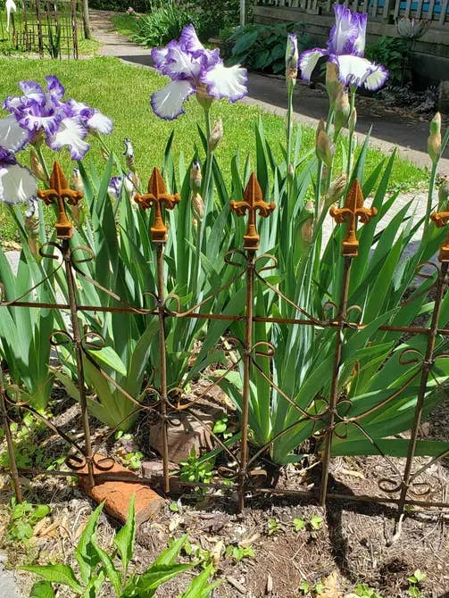 X'S Diamond Border Fence with Finials Rustic Vintage Style for wholesale by Garden Iron And More