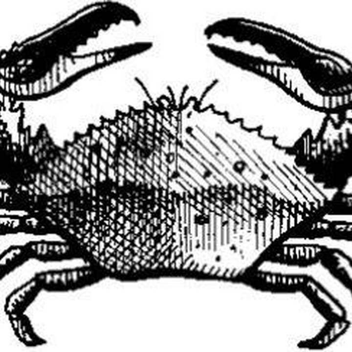 Crab - Supporto aggrappato per la vendita all'ingrosso da parte di Emerald Creek Craft Supplies