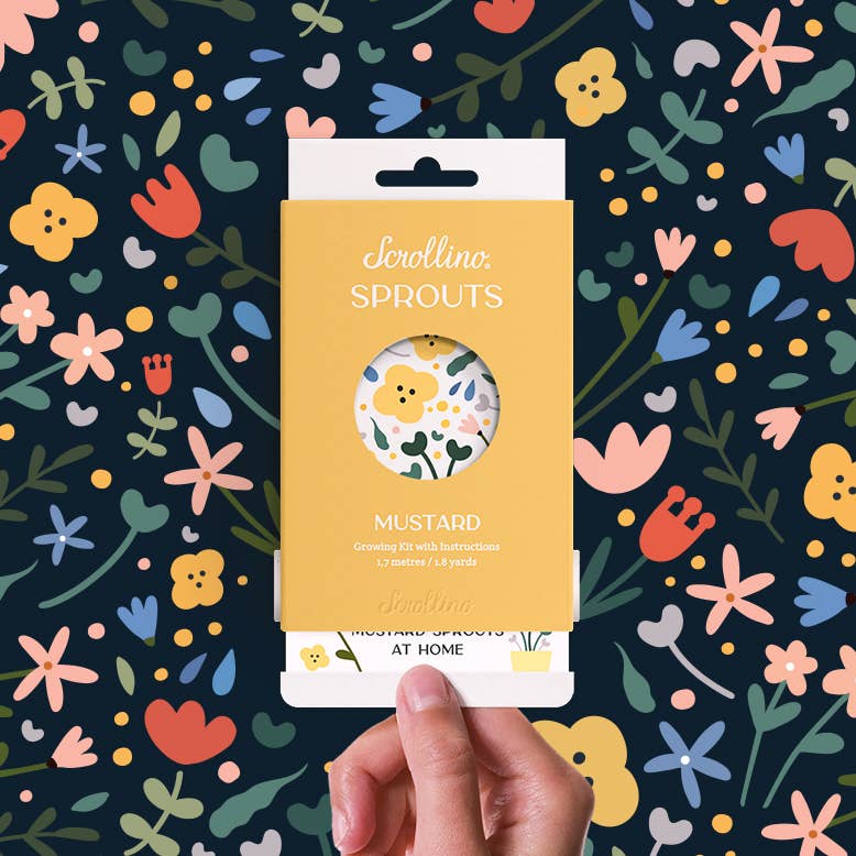 Scrollino - Wholesale DIY Craft Kit - Kids - Original Activity & Growing Kit - Scrollino Mustard Sprouts0