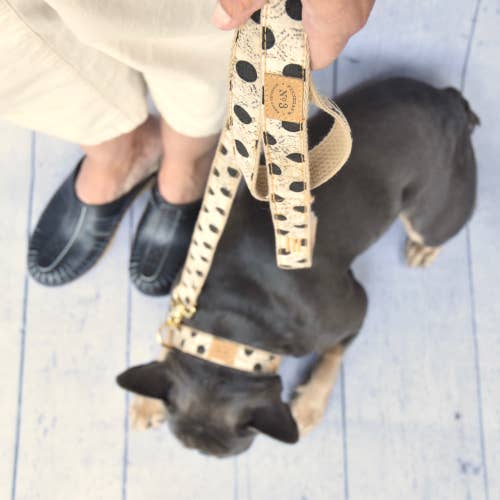 Finnegan’s Standard Goods - Wholesale Pet Collar - Dog - 1"Antique Black Dot Collar1