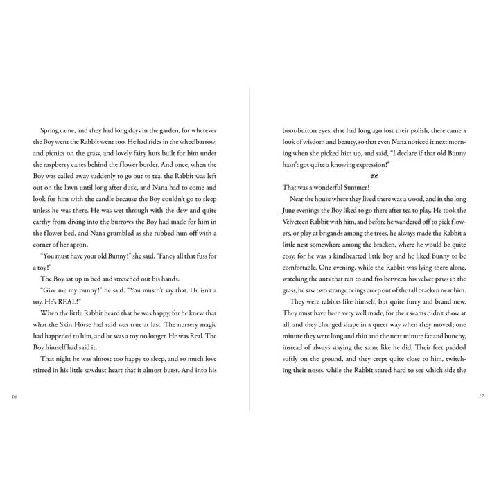 Peter Pauper Press - Wholesale Book - Kids - The Velveteen Rabbit