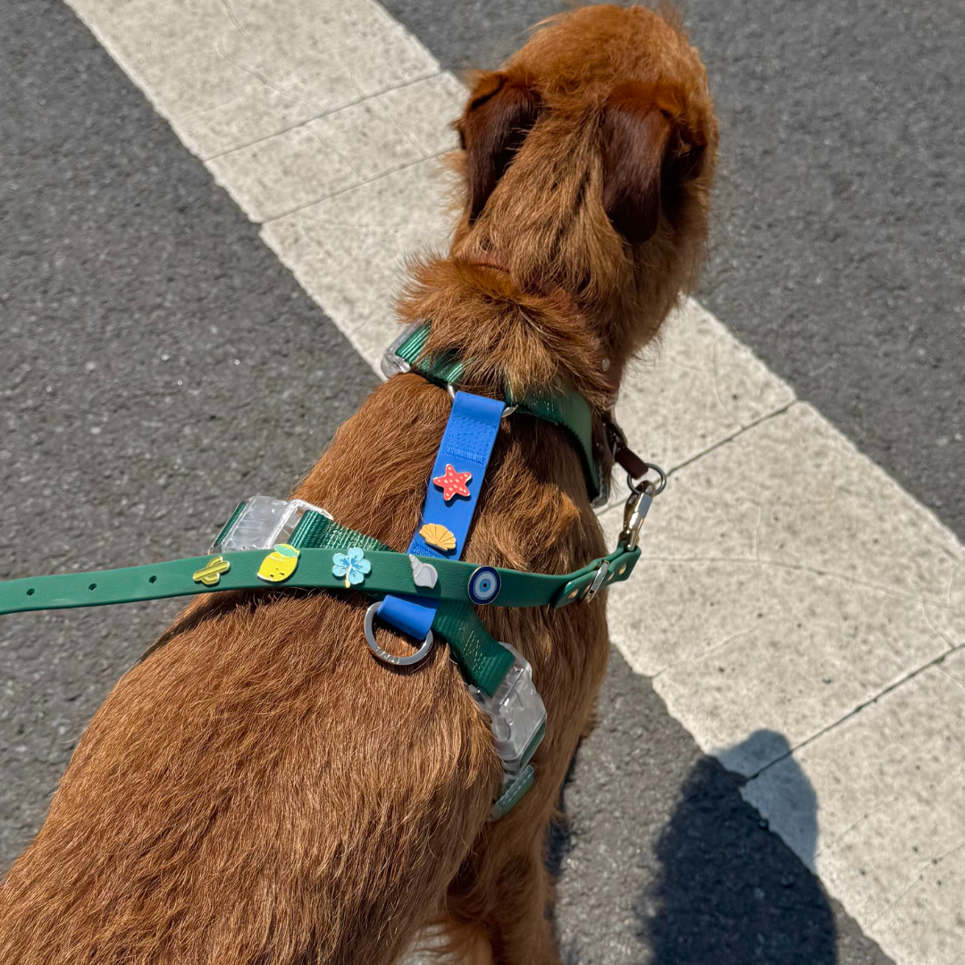 Furei Pets - Vente Harnais – chien - Harnais Moodies10