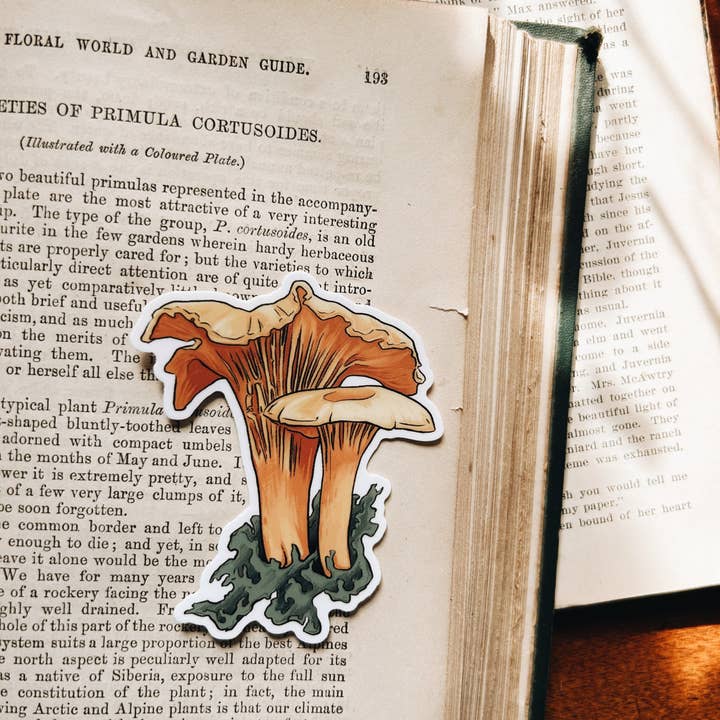 Fablewood Goods – wholesale Klistermärke – Kantarell | Vattentät vinylklistermärke | 3"