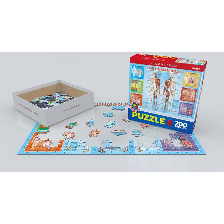 Eurographics Puzzles USA - Wholesale Puzzle - Kids - The Human Body1